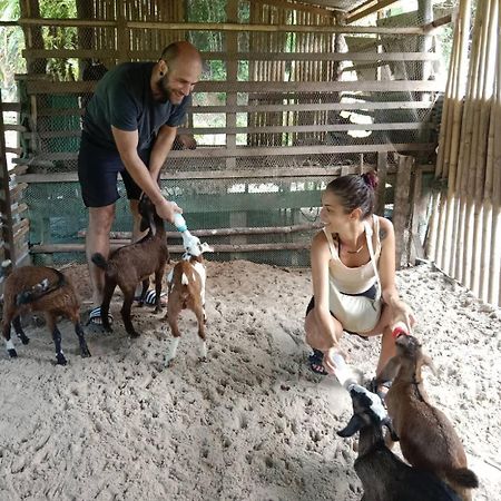 Yaoisland Resort And Farm Ko Yao Yai Exterior foto