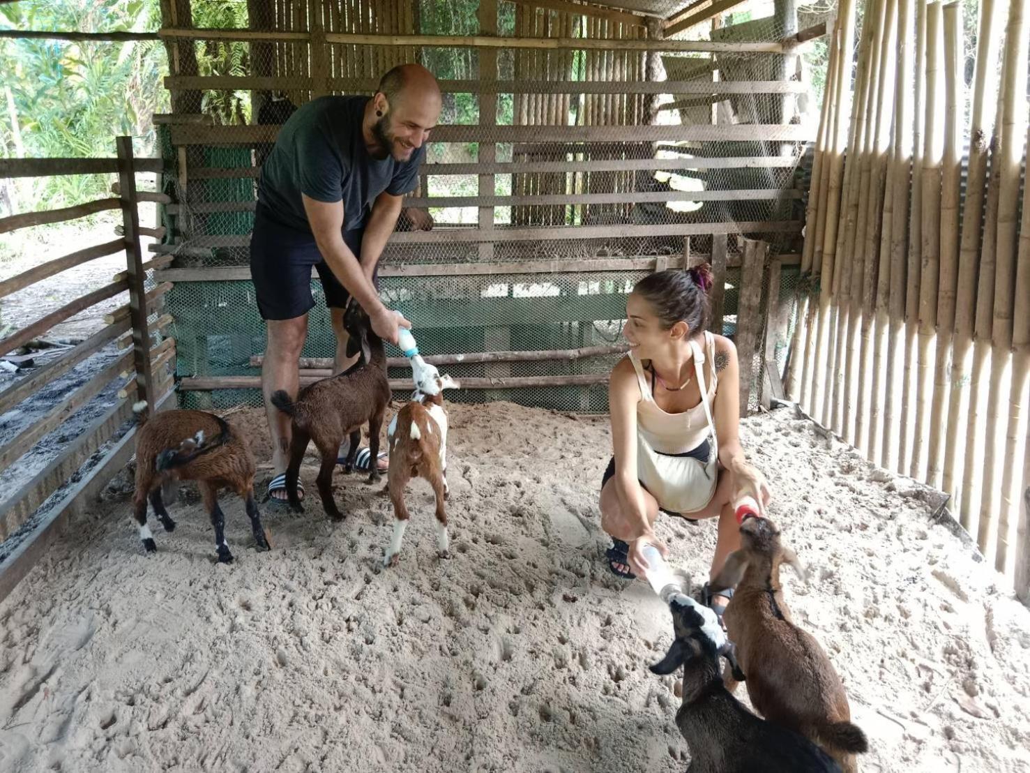 Yaoisland Resort And Farm Ko Yao Yai Exterior foto