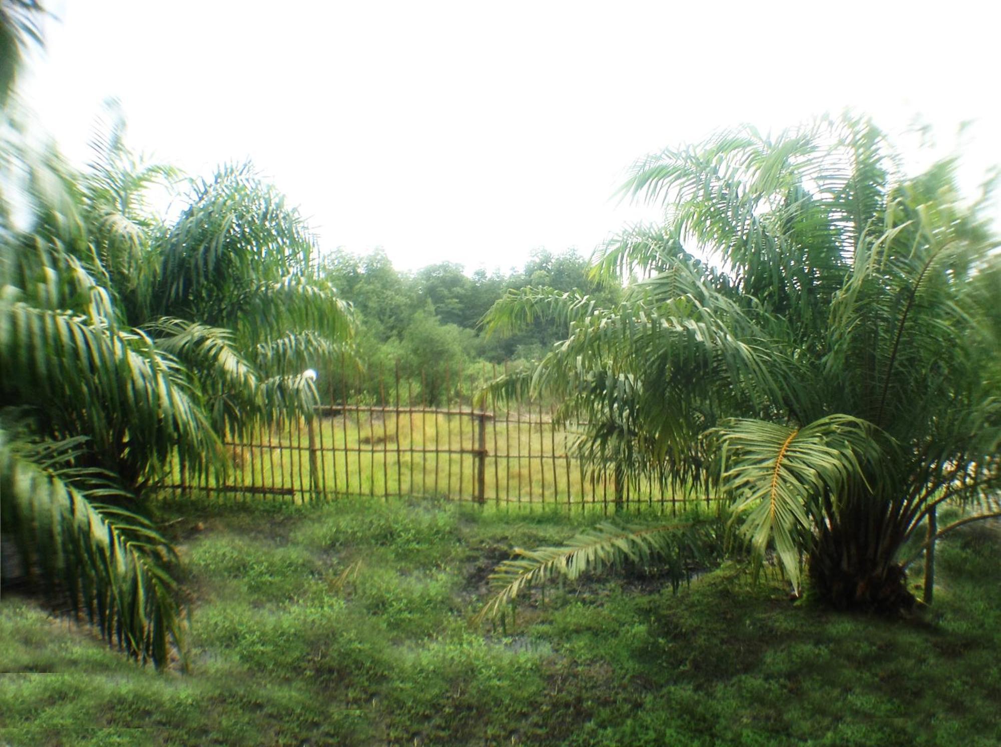 Yaoisland Resort And Farm Ko Yao Yai Exterior foto