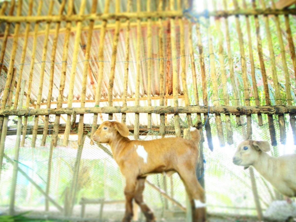 Yaoisland Resort And Farm Ko Yao Yai Exterior foto